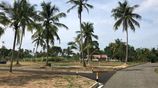 Land for Sale in Kuliyapitiya