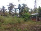 Land for Sale in Kuliyapitiya