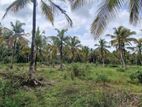 Land for Sale in Kuliyapitiya