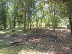 Land for Sale in Kuliyapitiya