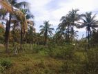Land for sale in kuliyapitiya