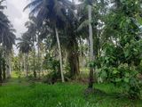 Land for Sale in Kuliyapitiya
