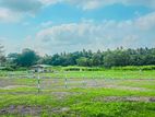 Land for Sale in Kuliyapitiya- H05