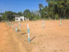 Land for Sale in Kuliyapitiya - N01