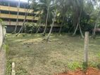 Land for sale in kuliyapitiya Town