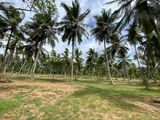 Land for Sale in Kuliyapitiya Town