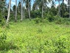 Land for Sale in Kuliyapitiya Town