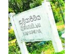 Land for Sale in Kuliyapitiya - Y114