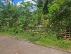 Land for Sale in Kumbuka