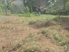 Land for Sale in Kumbuka