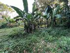 Land for Sale in Kumbuka