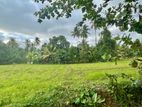 Land for Sale in Kumbuka Gonapola