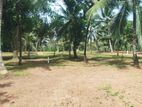 Land for Sale in Kumbuloluwa