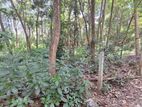 Land for Sale in Kundasale