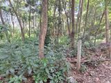 Land for Sale in Kundasale