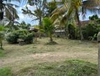 Land for Sale in Kurana