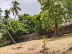 Land for Sale in Kurana