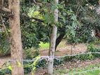 Land for sale in Kurunagala 50P