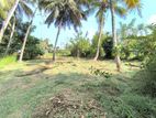 Land for Sale in Kurunagala