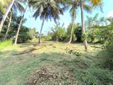 Land for Sale in Kurunagala