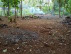 Land for sale in Kurunagala Thorayaya Main Road