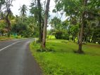 Land for Sale in Kurunegala - 107