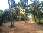 Land for Sale in Kurunegala - 1145