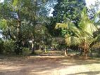 Land for Sale in Kurunegala - 1186