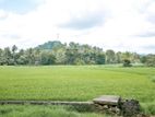 Land for Sale in Kurunegala - 121