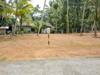 Land For Sale In Kurunegala - 145