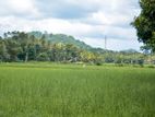 Land for Sale in Kurunegala - 243