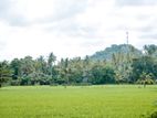 Land For Sale In Kurunegala -256