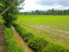 Land for Sale in Kurunegala - 282
