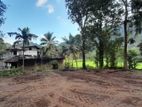 Land for sale in Kurunegala 42P