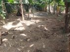 Land for Sale in Kurunegala - Aluth Malkaduwawa