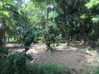 Land for Sale in Kurunegala City