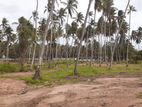 Land for Sale in Kurunegala City