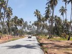 Land for Sale in Kurunegala City