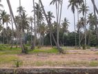 Land for Sale in Kurunegala City