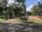land for sale in kurunegala city