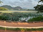 Land for Sale in Kurunegala City