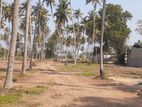 Land for Sale in Kurunegala City Limit