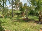 Land for Sale in Kurunegala - Cl605