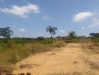 Land For Sale In Kurunegala - CL821