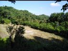 Land For Sale In Kurunegala - CL840
