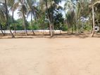 Land for Sale in Kurunegala Dambulla Raod Y 64