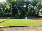 Land for Sale In Kurunegala