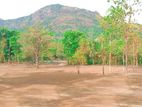 Land for Sale in Kurunegala