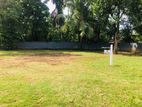 Land for Sale in Kurunegala