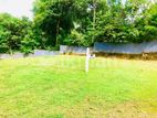 Land for Sale in Kurunegala